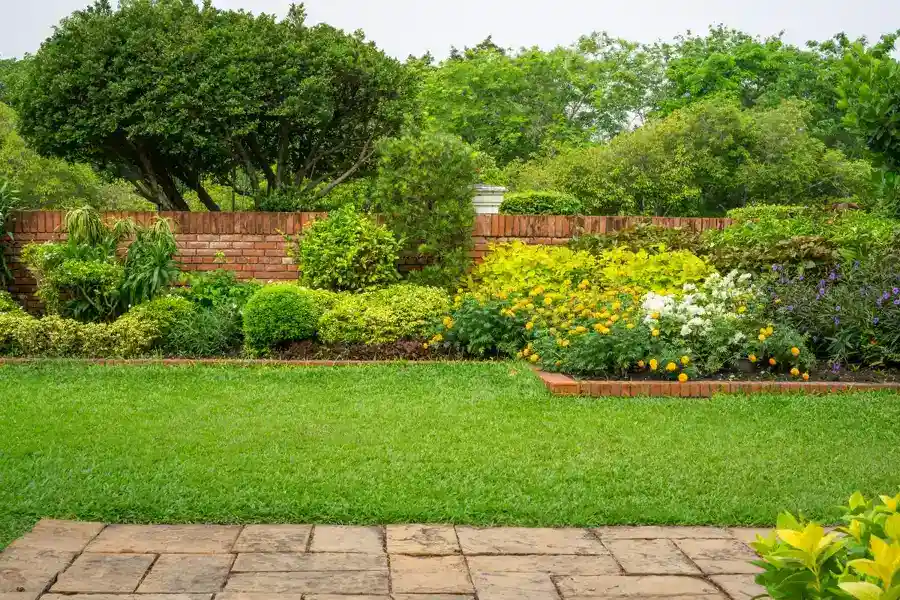 Lawn Care