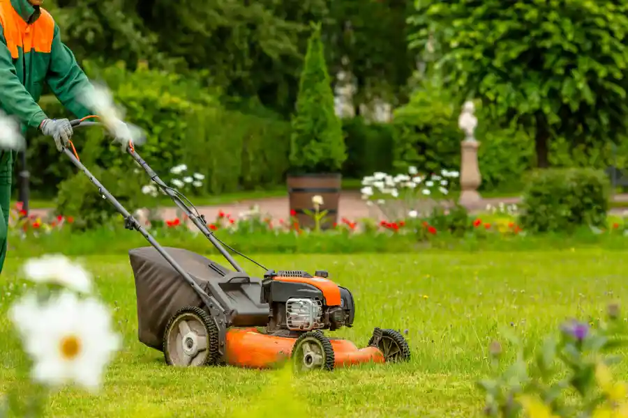 Yard Maintenance